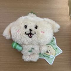 NCT WISH WISH DOLL ジェヒ ぬいぐるみのサムネイル