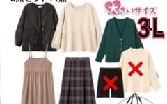 Hina✦Komachi【新品3L】ハッピーバッグ✦しまむらのサムネイル
