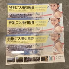 箱根小涌園ユネッサン 特別ご入場引換券 3枚 - 2