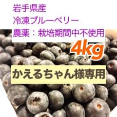 岩手県産 ブルーベリー 冷凍 4キロのサムネイル