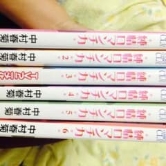 純情ロマンチカ ゆん☆様専用のサムネイル