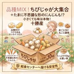 【食卓レスキュー】品種MIX チビじゃが 北海道産 ホッカイコガネ　レッドムーンのサムネイル