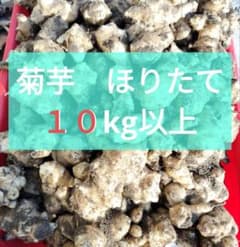 菊芋・世界三大健康野菜】10kg以上 ほりたて新鮮 農薬 化学肥料不
