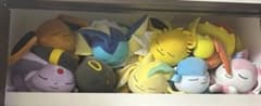 [値下げ交渉可] ポケモン ブイズ　ぬいぐるみセットpokemon ぐっすりのサムネイル