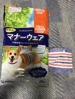 マナーウエア男の子 中型犬用 17枚のサムネイル