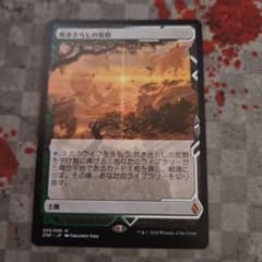 MTG 吹きさらしの荒野 ZNE エクスペディションのサムネイル