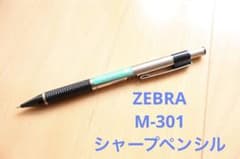 m55834289314_1.jpg?1748256056