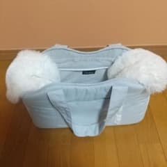 Louisdog  キャリーバッグ　ルイスドッグのサムネイル