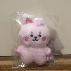 BT21 COOKY ベビータットンマスコットのサムネイル