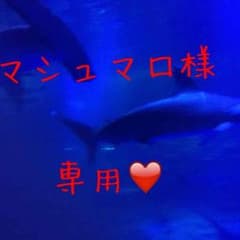 マシュマロ様専用！！【値下げ】グラグラ 子供  水着のサムネイル