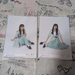 櫻坂46 武元唯衣 向井純葉 写真セットのサムネイル