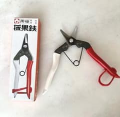 岡恒　採果鋏のサムネイル