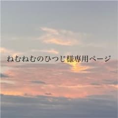 専用ページのサムネイル
