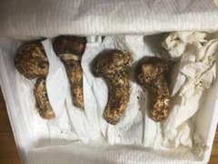 旬！松茸 1kg 箱売りのサムネイル