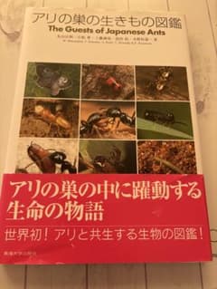 アリの巣の生きものの図鑑 - メルカリ