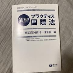 演習プラクティス国際法のサムネイル