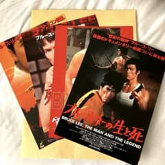 ブルース・リー 映画チラシ 3枚、ドニー・イェン映画チラシ1枚 合計4枚
