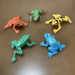Safari社 カエルフィギュア5体セット - メルカリ