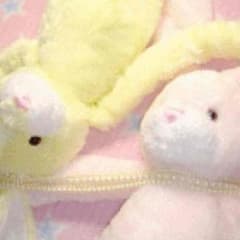 専用のサムネイル