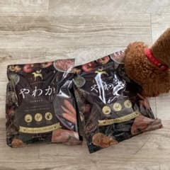 やわか ドッグフードのサムネイル