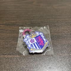 セレッソ大阪 ガチャガチャ カラビナ キーホルダーのサムネイル