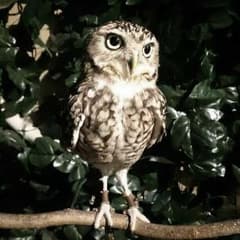 すずき様専用のサムネイル