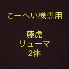 こーへい様専用  ワンピースフィギュア2体のサムネイル