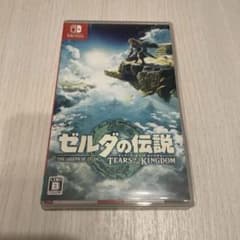 젤다의 전설 티어즈 오브 더 킹덤 닌텐도 Switch