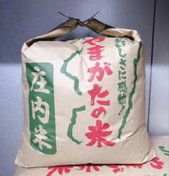 【華金SALE】山形県庄内産　令和7年新米コシヒカリ23kgのサムネイル
