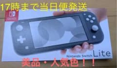 【美品】NINTENDO SWITCH LITE グレーのサムネイル