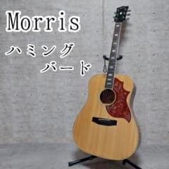 【激レア】 Morris WH-30 ハミングバード モーリス ナチュラル 激レア】 Morris WH-30 ハミングバード モーリス ナチュラル - メルカリ