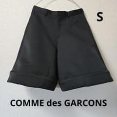 COMME des GARÇONS HOMME PLUS / バギーショーツ Sのサムネイル