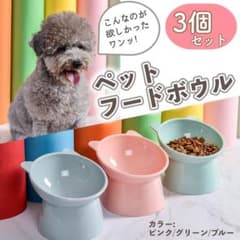 애완 동물 식품 그릇 3 개 세트 개 고양이 식기대 경사