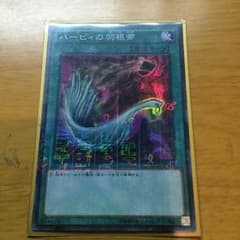 ハーピィの羽根箒のサムネイル
