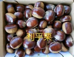 利平栗　熊本県産　無農薬のサムネイル