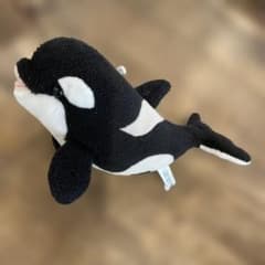 名古屋港水族館 シャチ ぬいぐるみ - メルカリ