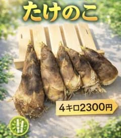 新鮮 たけのこのサムネイル