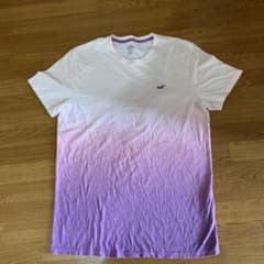 ホリスター Tシャツのサムネイル