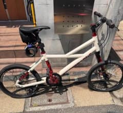 Cannondale Hooligan Mini Velo - 20-inch wheels, 3-speed internal gear hub