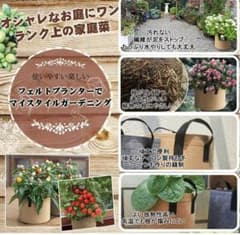 引越しセール フェルトプランター 植木鉢　セット　園芸　野菜　花　栽培のサムネイル