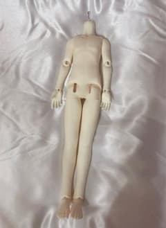 1/6ドールボディのサムネイル