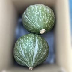 北海道産九重栗かぼちゃ 5kgのサムネイル