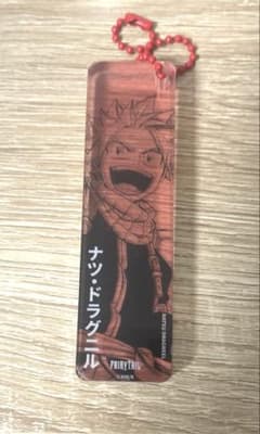 フェアリーテイル ナツ ドラグニル ロング型 アクリルキーホルダー
