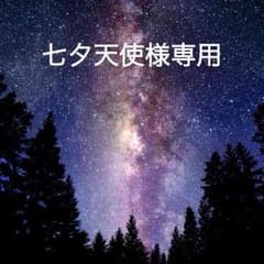 七夕天使様専用です(*^^*)のサムネイル