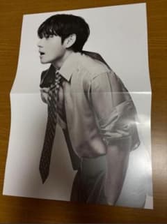 V BTS 写真集 ポスター