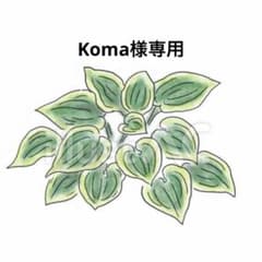 Koma様専用のサムネイル