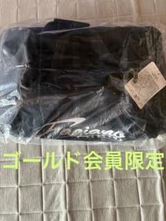 ファジアーノ岡山 キャリーバッグ　新品 - 5