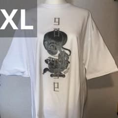 m55943562529_1.jpg?1747568411