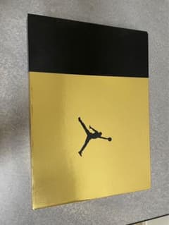 NIKE AIR JORDAN 6 DMP 2020のサムネイル