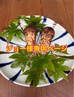 ジョー様専用ページのサムネイル